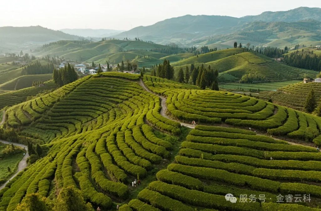 45ca092aaceb8d6cc091ab3b10251bf6_640_wx_fmt=png&watermark=1&tp=webp&wxfrom=10005&wx_lazy=1#imgIndex=5